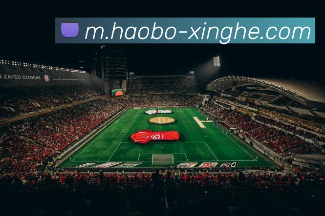 全球热力图